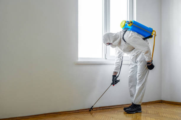 Trusted Brooksville, FL Pest Control Experts